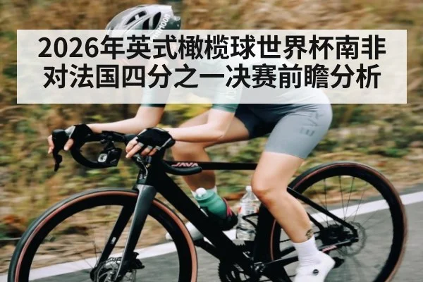 2026年英式橄榄球世界杯南非对法国四分之一决赛前瞻分析